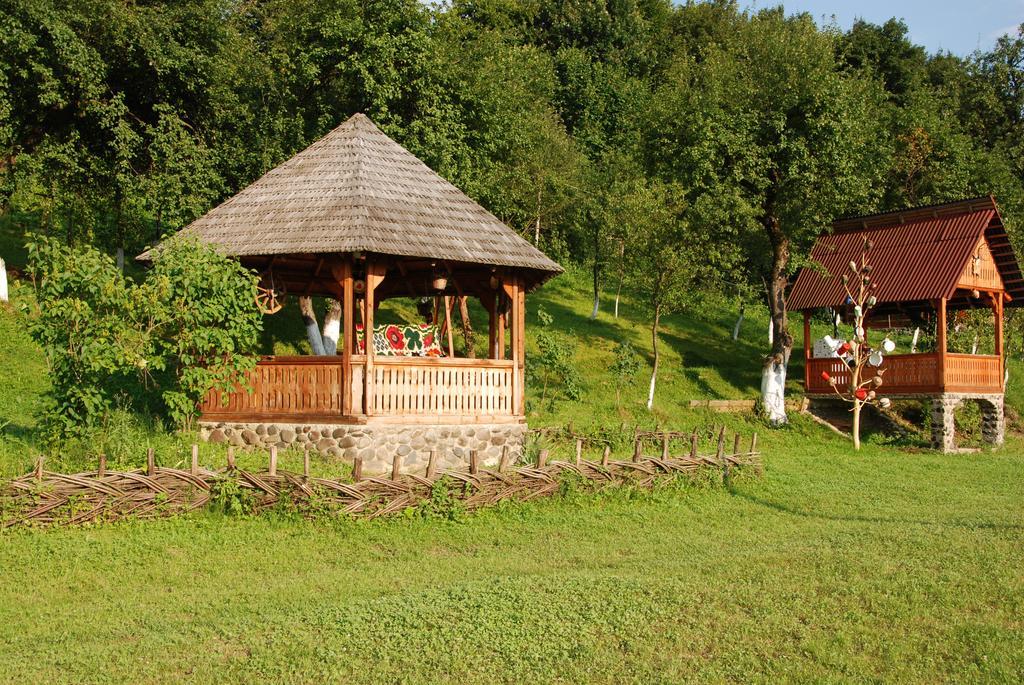 Pensiunea La Gorgan Vadu Izei Exterior foto